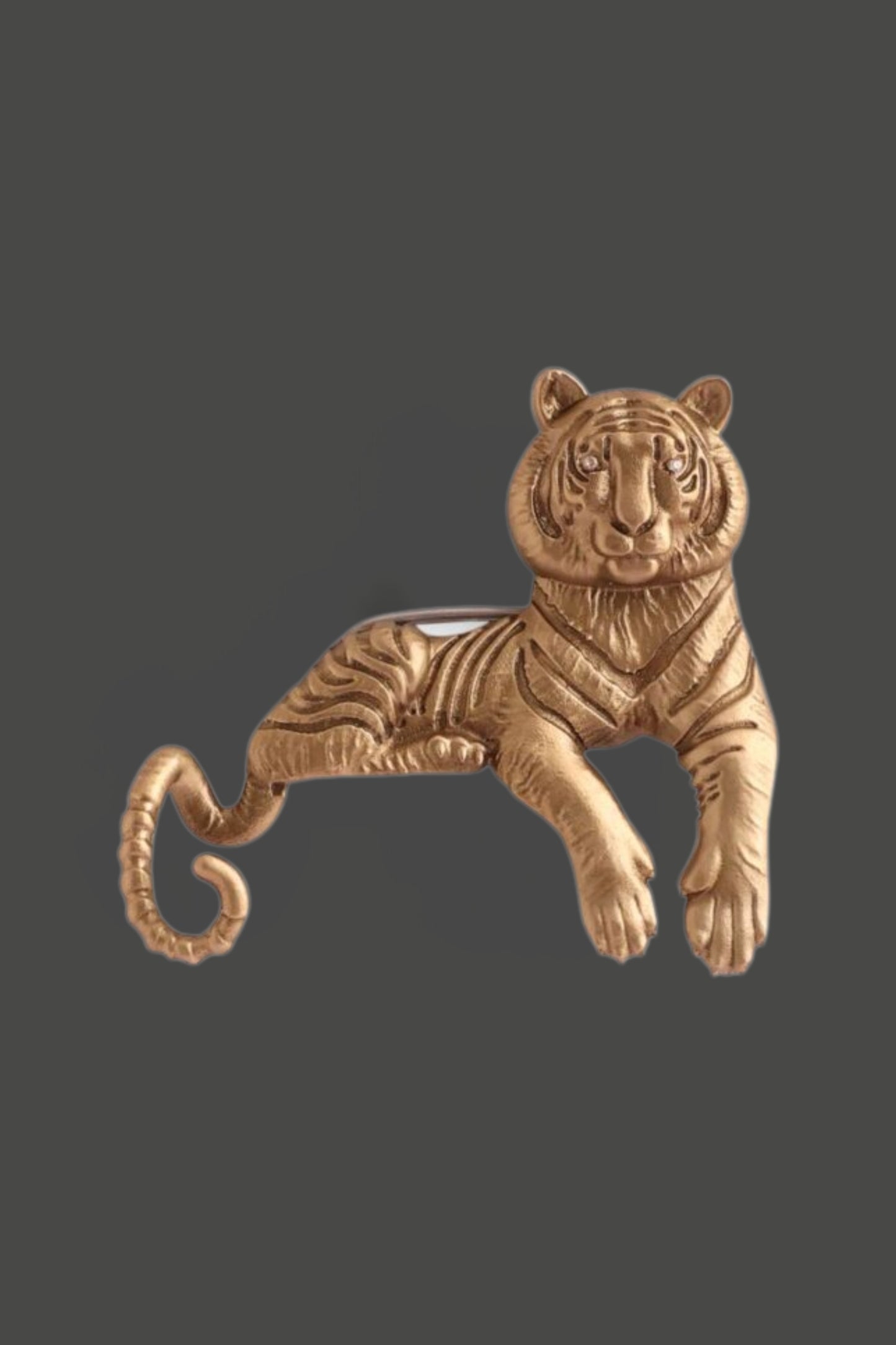 Enigmatic Stripes Brooch