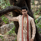 Swarna Tejas Luxury Men's Wedding Dhoti Set with Stole | Traditional Indian Groom Wear