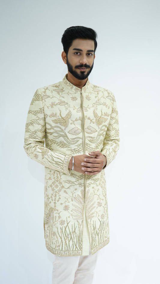 The Avian Elegance Sherwani