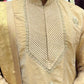 Pure Golden Tissue Pattu Set